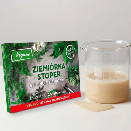 Domyślna nazwa
