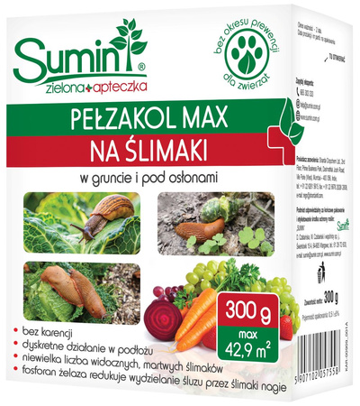 Domyślna nazwa