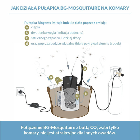 Domyślna nazwa