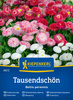 Stokrotka pospolita Mix Bellis perennis