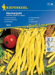 Fasola tyczna Neckargold Phaseolus vulgaris var. vulgaris