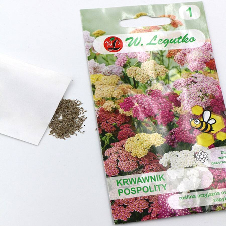 Krwawnik pospolity – mix – 0,3 g Legutko