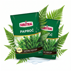 Zestaw 2x Substral Podłoże Do Paproci 3 l