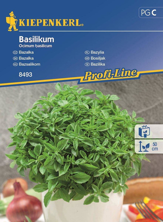 Bazylia drobnolistna