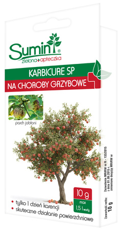Domyślna nazwa