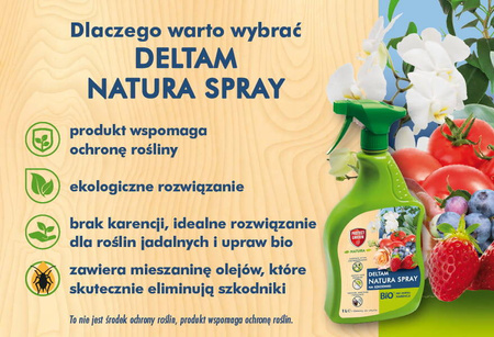 Domyślna nazwa