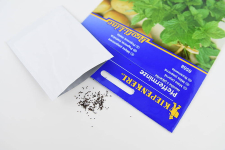 Mięta pieprzowa wieloletnia Mentha x piperita