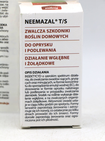 Domyślna nazwa