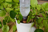Nawadniacze autonomiczne Aquago - 2 szt Jardbric