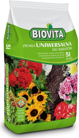 Domyślna nazwa