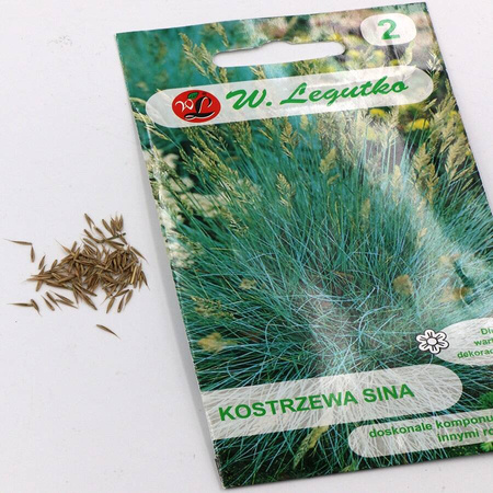Kostrzewa sina – srebrzystoniebieska – 0,2 g Legutko