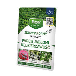 Domyślna nazwa