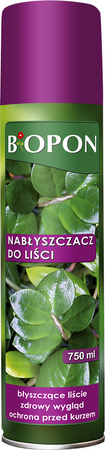 Domyślna nazwa