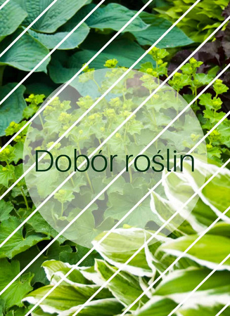 Aranżacja rabaty bylinowej – E-Book PDF