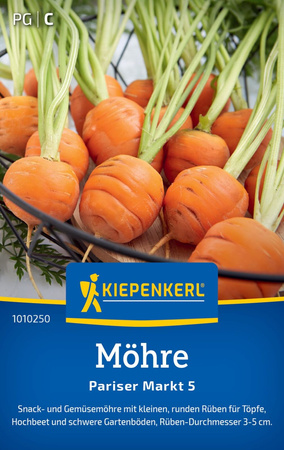 Domyślna nazwa