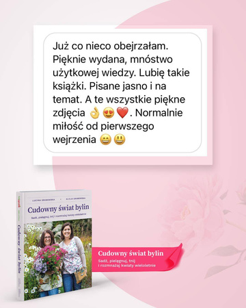 Domyślna nazwa