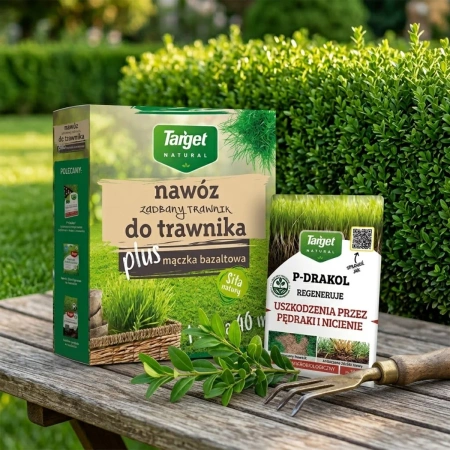 Domyślna nazwa