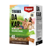 Dakar 1 kg nasiona trawy do trawników nasłonecznionych