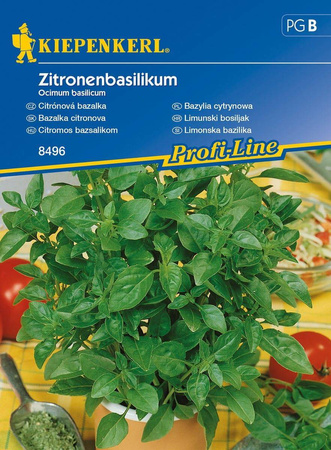 Bazylia cytrynowa Ocimum basilicum