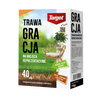 Hobby Gracja 1 kg nasiona trawy do trawników ozdobnych