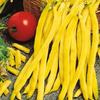 Fasola tyczna Neckargold Phaseolus vulgaris var. vulgaris