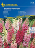 Naparstnica Excelsior-Hybriden Digitalis purpurea