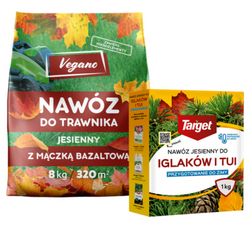 Domyślna nazwa