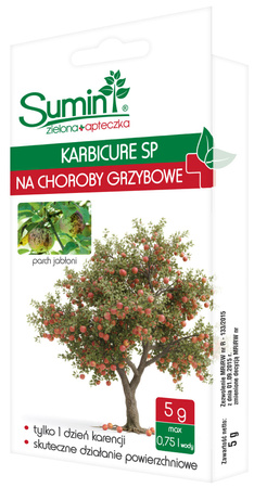 Domyślna nazwa