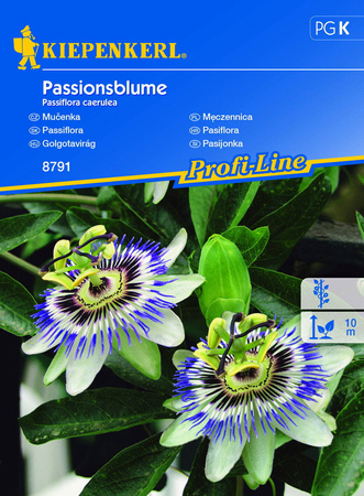 Passiflora / Męczennica - Kiepenkerl