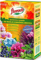 Domyślna nazwa