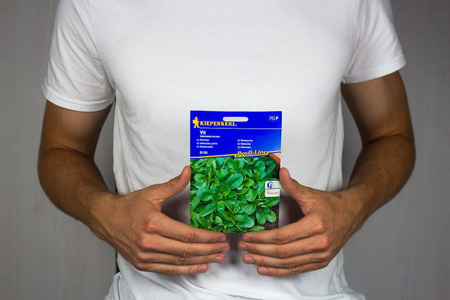 Roszponka Vit Valerianella locusta