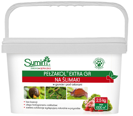 Domyślna nazwa