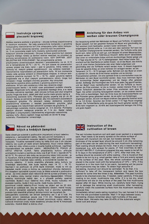 Zestaw Do Uprawy Grzybów - Pieczarka Biała 3 l