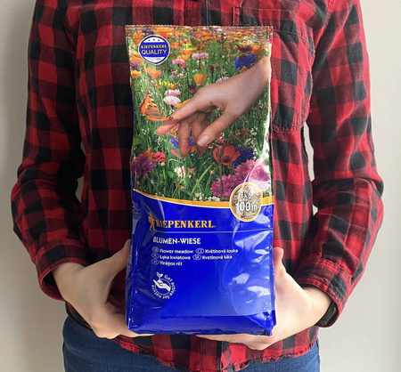 Trawnik z Kwiatami 1 kg Kiepenkerl