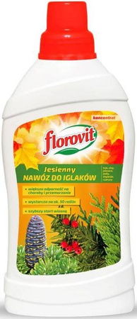 Domyślna nazwa