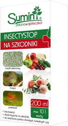 Domyślna nazwa