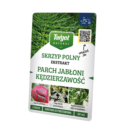 Domyślna nazwa