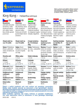 Słonecznik King Kong - Kiepenkerl