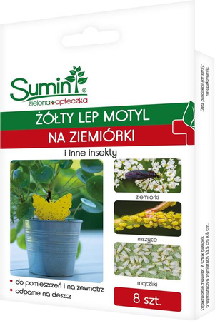 Domyślna nazwa