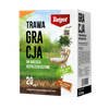 Hobby Gracja 500 g nasiona trawy do trawników ozdobnych