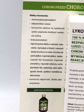 Domyślna nazwa