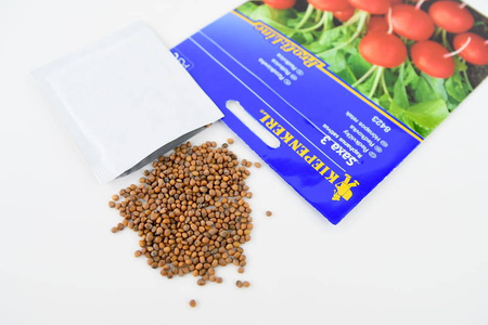 Rzodkiewka Saxa 3 Raphanus sativus var. sativus