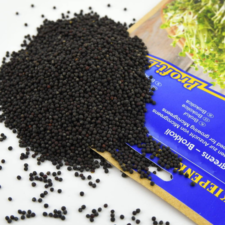 Brokuł Brokkoli - nasiona na microgreens - Kiepenkerl
