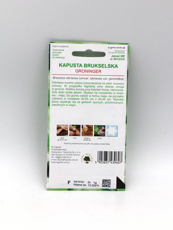 Brukselka Groninger 1 g - Legutko 