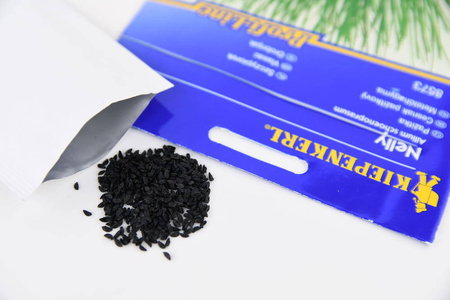 Szczypiorek Nelly Allium schoenoprasum