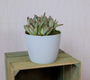 Osłonka-Doniczka Magnolia Eco Wood 220 Jumper Biała