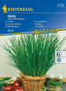 Szczypiorek Nelly Allium schoenoprasum