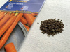 Marchew Flyaway odporna - Kiepenkerl