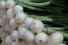 Cebula dymka biała Snowball 250 g