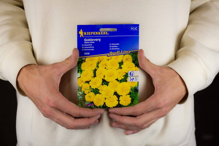 Aksamitka Goldzwerg
